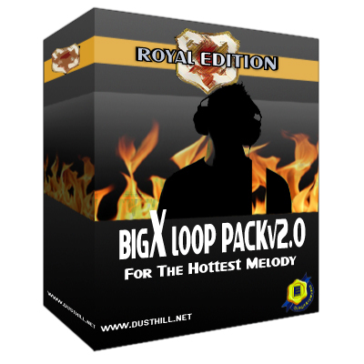 Product picture BigX LoopPack Vol 2